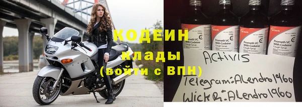 стафф Гусев
