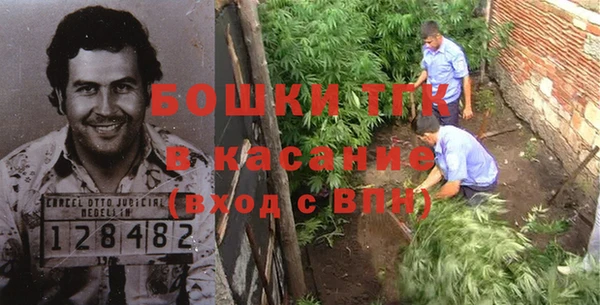 стафф Гусев