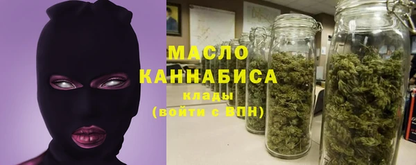 стафф Гусев