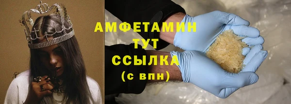 стафф Гусев