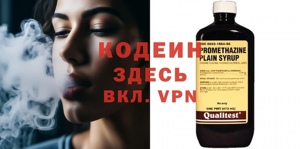 стафф Гусев
