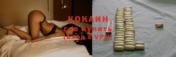 гидра Гусь-Хрустальный