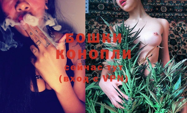 стафф Гусев