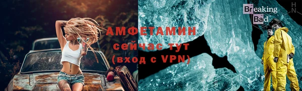 гидра Гусь-Хрустальный