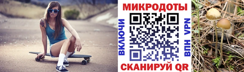 кракен как войти  Десногорск  Псилоцибиновые грибы прущие грибы  цены наркотик 