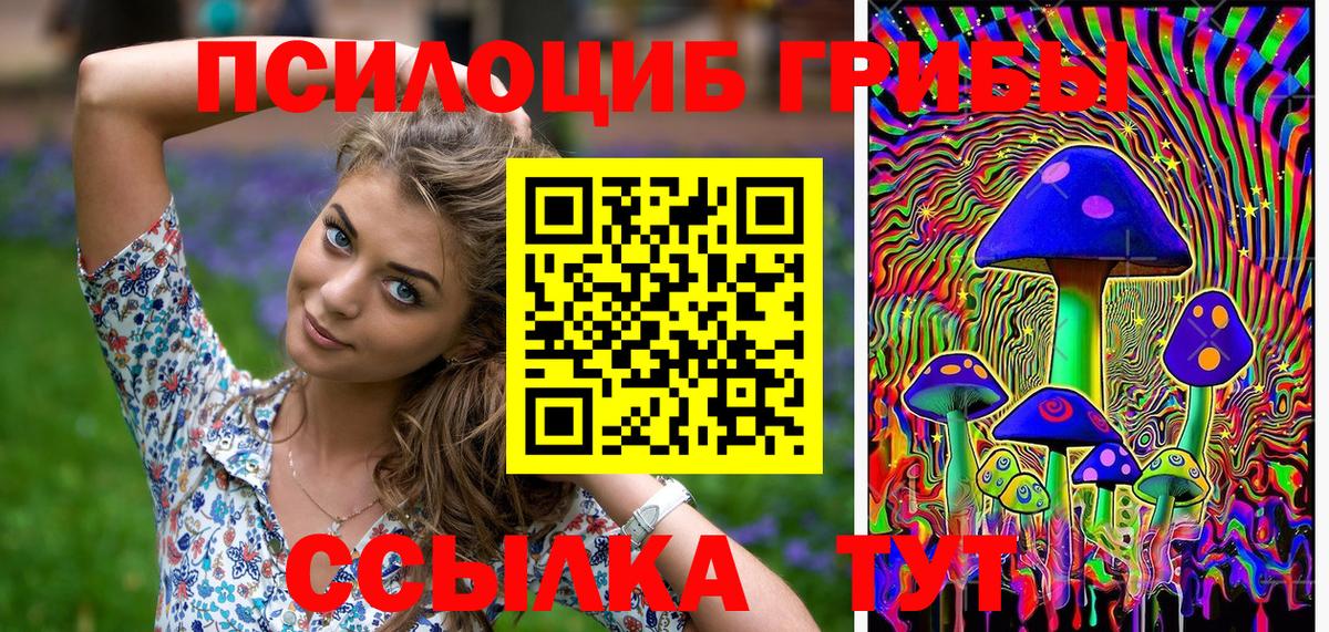 Псилоцибиновые грибы MAGIC MUSHROOMS Десногорск