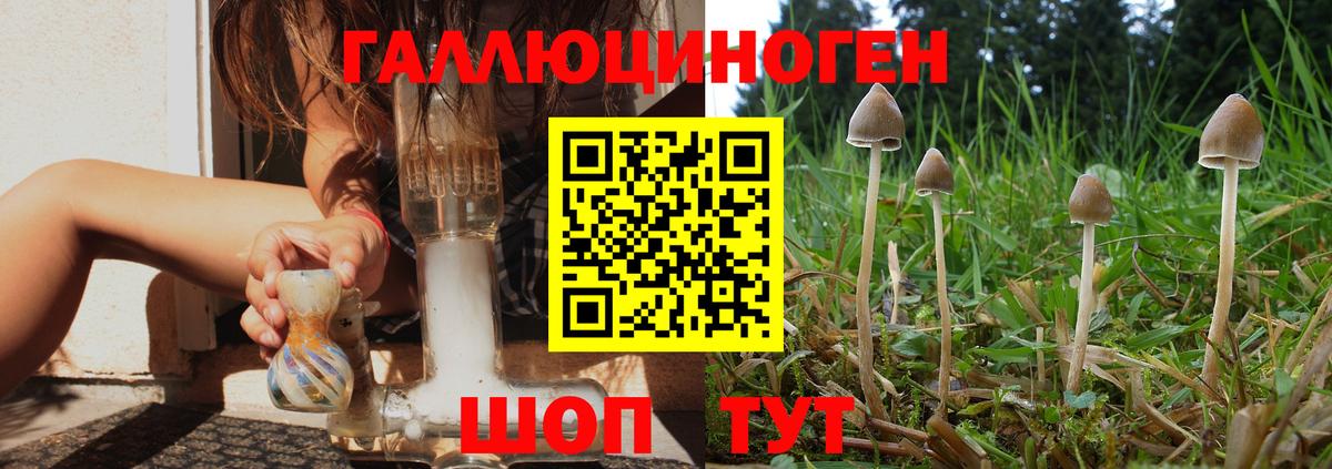 Десногорск  Псилоцибиновые грибы MAGIC MUSHROOMS  Вход с VPN 