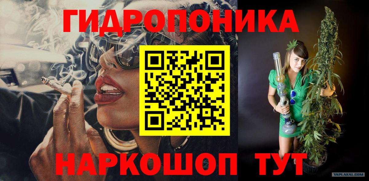 Бошки Шишки план  Вход с VPN  Бошки Шишки тримм  Десногорск 